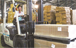 Tết vui của những người làm dịch vụ hàng hóa hàng không